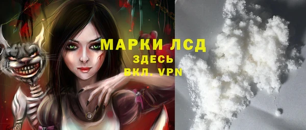 прущий лед Алзамай
