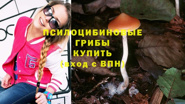 соль ск Алексин