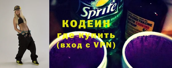 прущий лед Алзамай