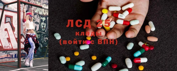 прущий лед Алзамай