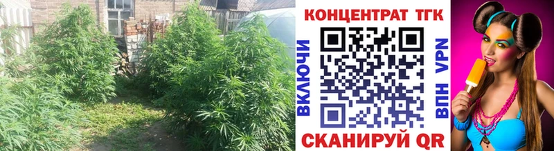 ТГК концентрат  Новоаннинский 