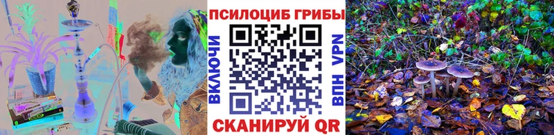 Псилоцибиновые грибы GOLDEN TEACHER  что такое   Новоаннинский 